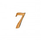 APLIQUE NÚMERO 7- SCRIPT (P)